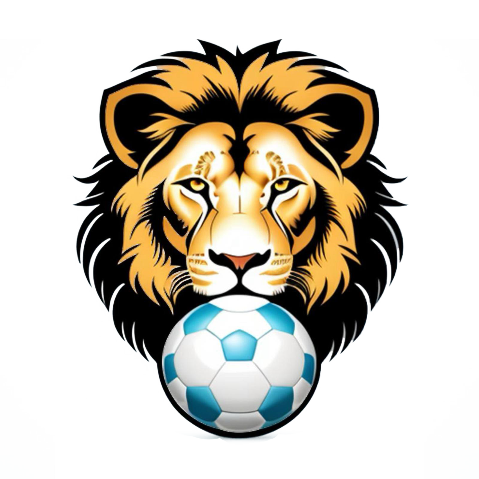 אריות דדו
